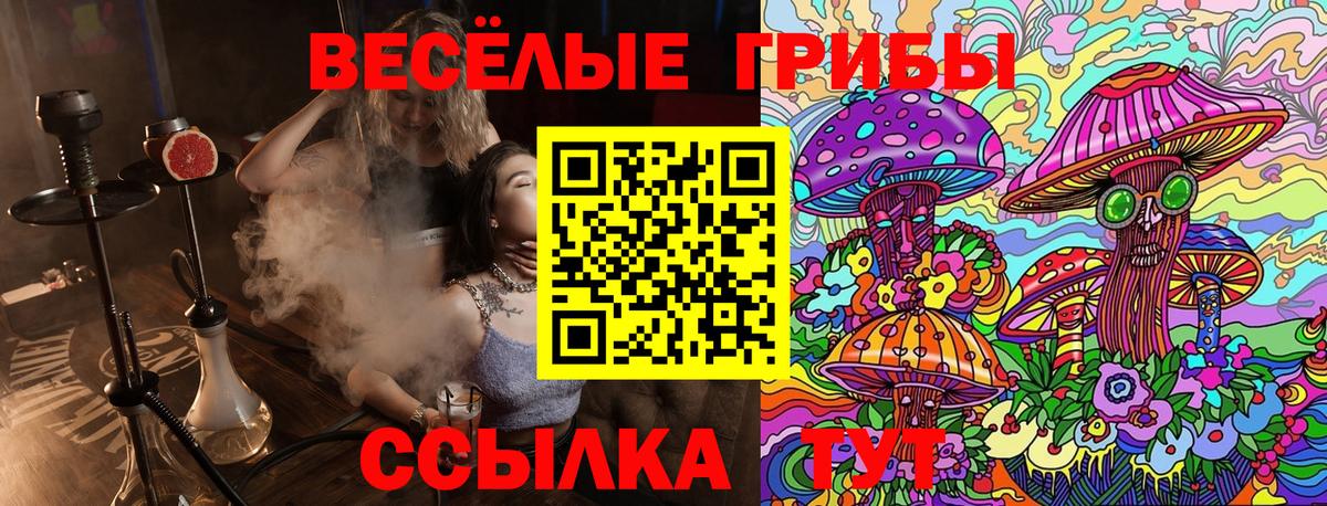 Галлюциногенные грибы Cubensis  Вход с VPN  Псилоцибиновые грибы мицелий  Бугуруслан 